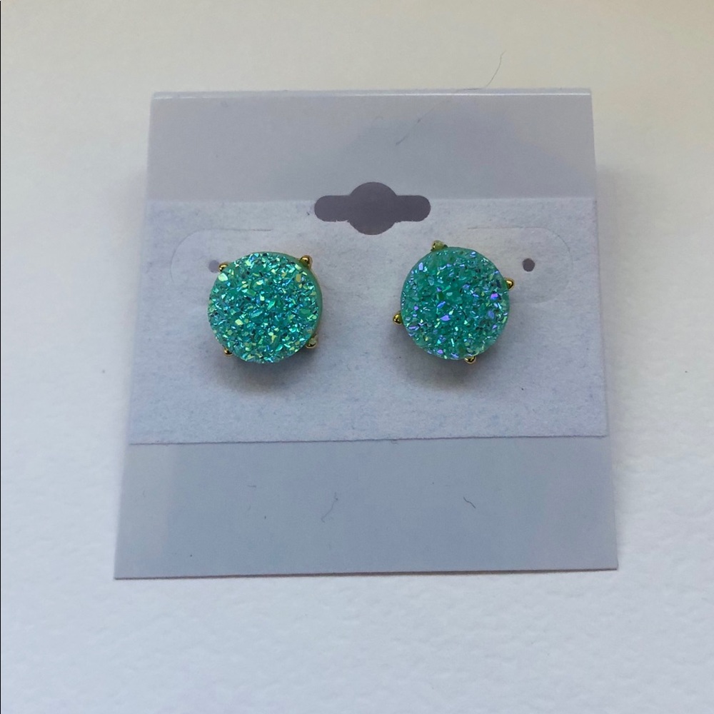 Glistening Stud Earrings